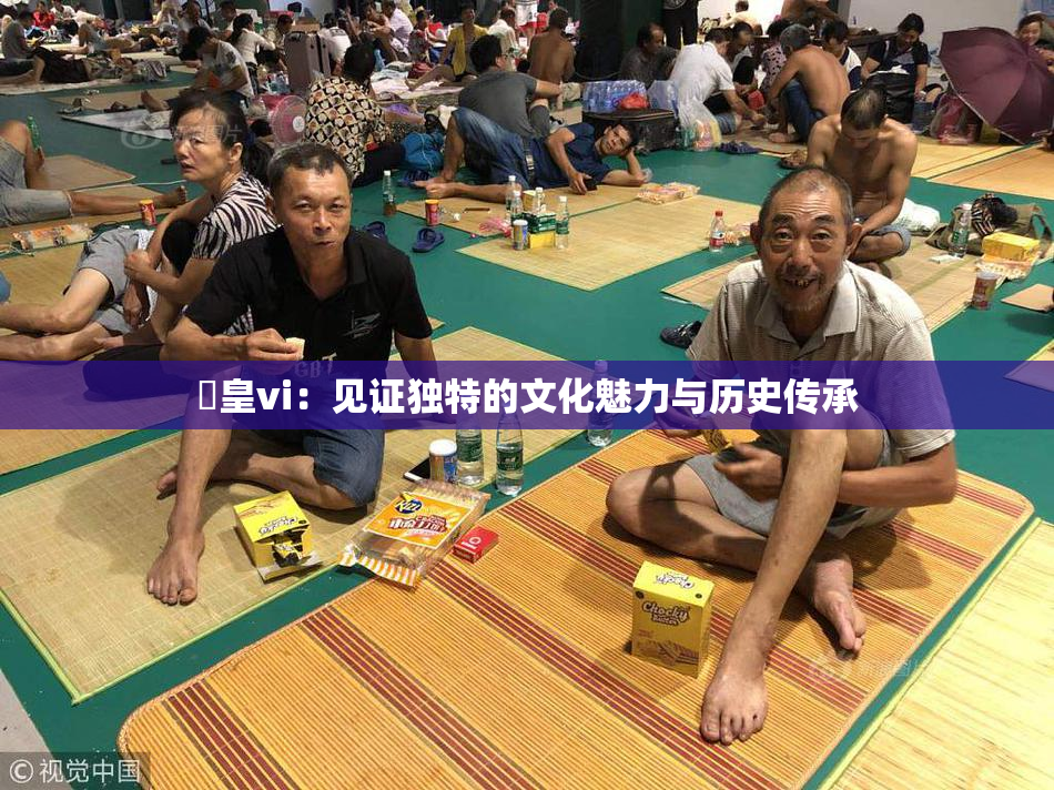 嘼皇vi：见证独特的文化魅力与历史传承