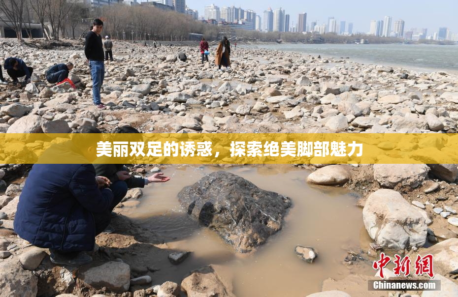 美丽双足的诱惑，探索绝美脚部魅力