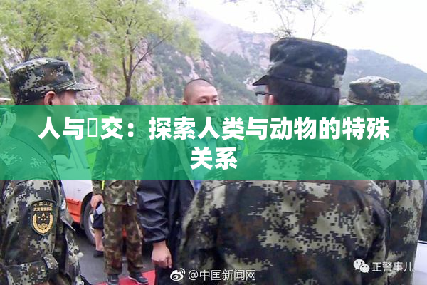 人与嘼交：探索人类与动物的特殊关系