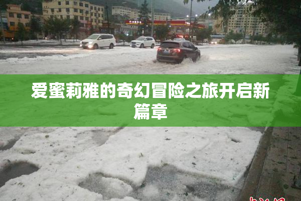 爱蜜莉雅的奇幻冒险之旅开启新篇章