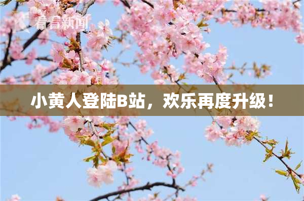 小黄人登陆B站，欢乐再度升级！