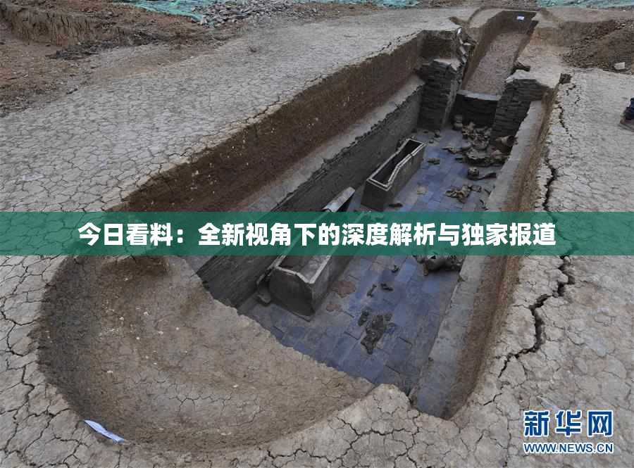 今日看料：全新视角下的深度解析与独家报道
