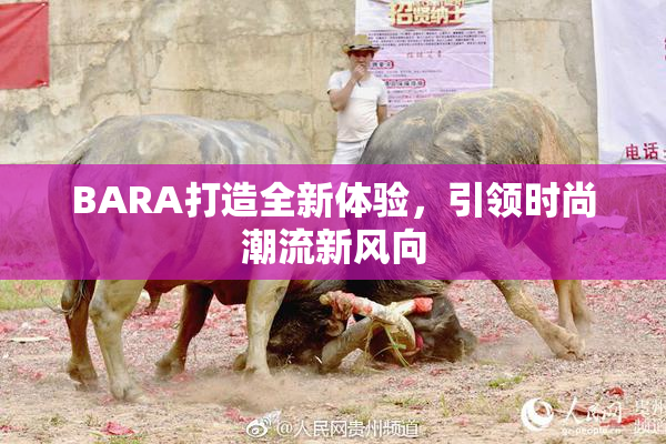 BARA打造全新体验，引领时尚潮流新风向