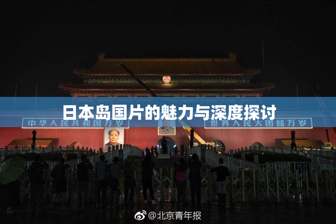 日本岛国片的魅力与深度探讨