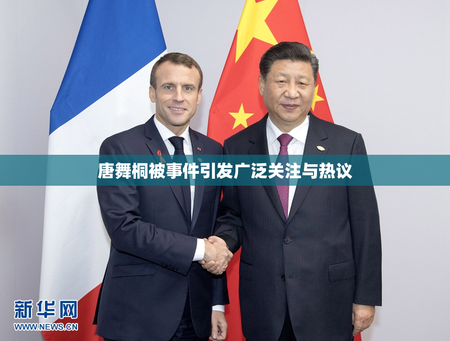 唐舞桐被事件引发广泛关注与热议