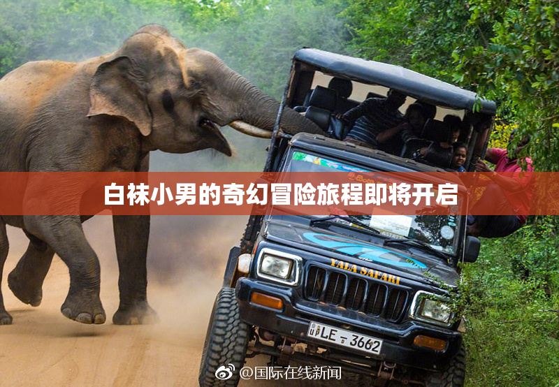 白袜小男的奇幻冒险旅程即将开启