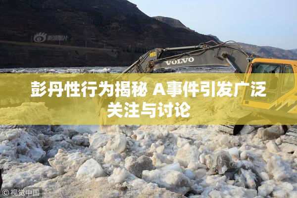 彭丹性行为揭秘 A事件引发广泛关注与讨论