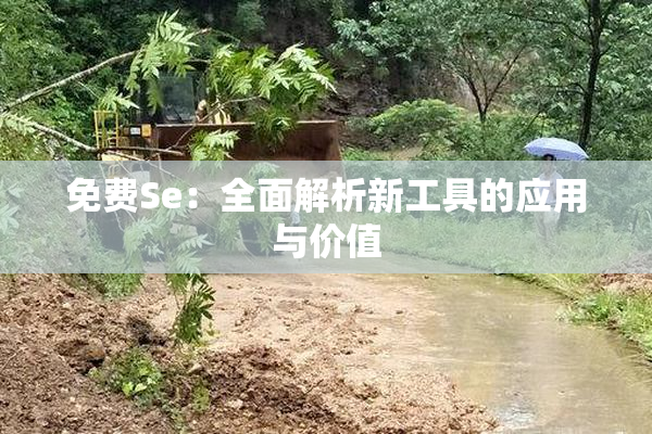 免费Se：全面解析新工具的应用与价值