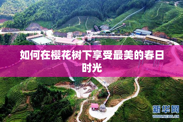 如何在樱花树下享受最美的春日时光
