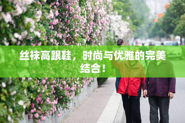 丝袜高跟鞋，时尚与优雅的完美结合！