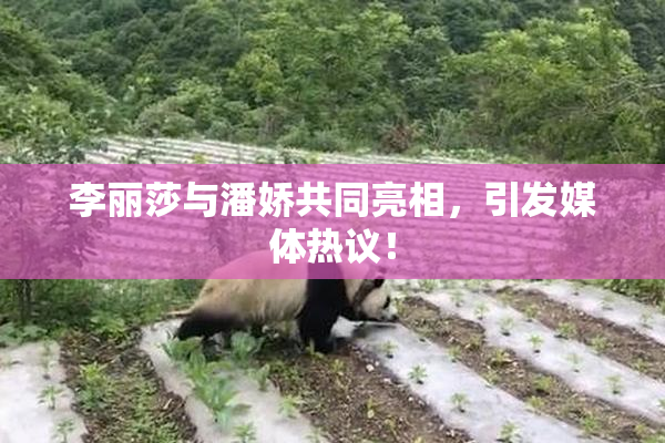 李丽莎与潘娇共同亮相，引发媒体热议！