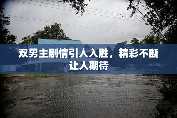 双男主剧情引人入胜，精彩不断让人期待