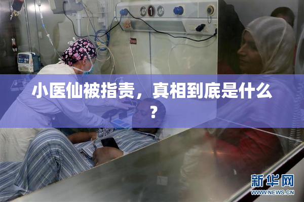 小医仙被指责，真相到底是什么？