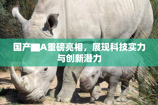 国产▇A重磅亮相，展现科技实力与创新潜力