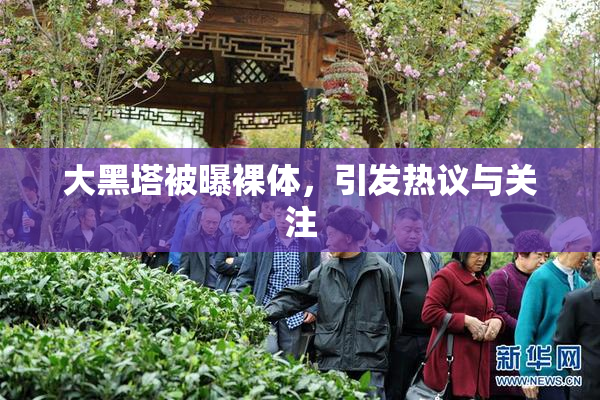 大黑塔被曝裸体，引发热议与关注