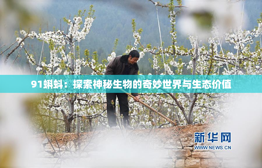 91蝌蚪：探索神秘生物的奇妙世界与生态价值