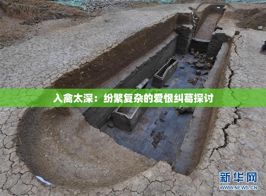 入禽太深：纷繁复杂的爱恨纠葛探讨