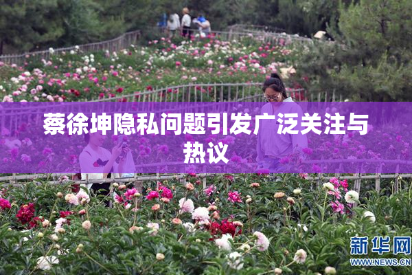 蔡徐坤隐私问题引发广泛关注与热议