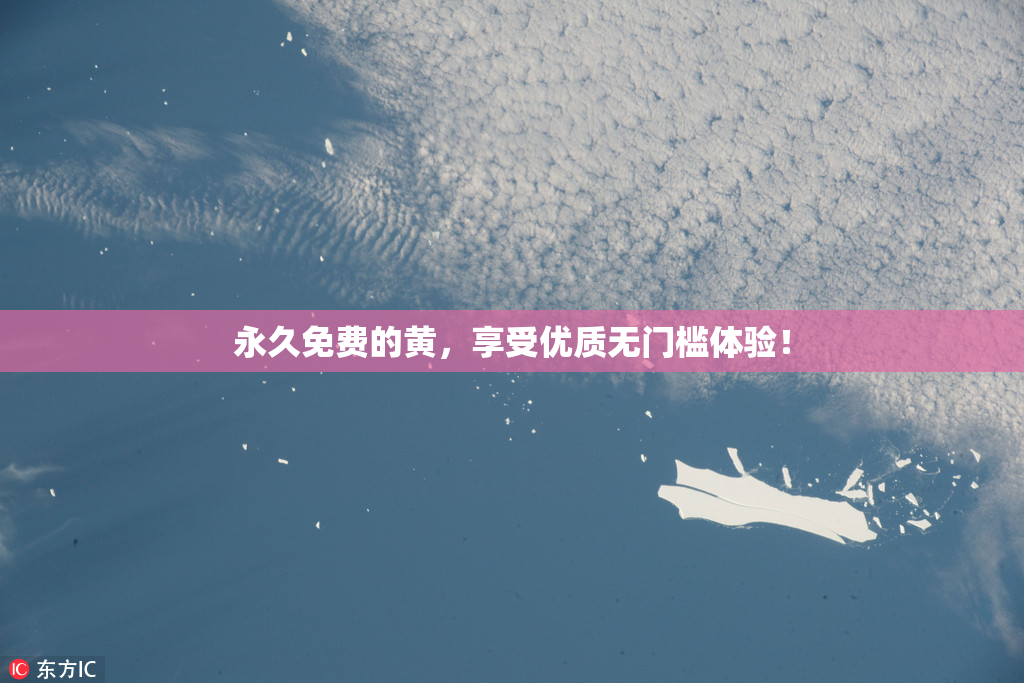 永久免费的黄，享受优质无门槛体验！