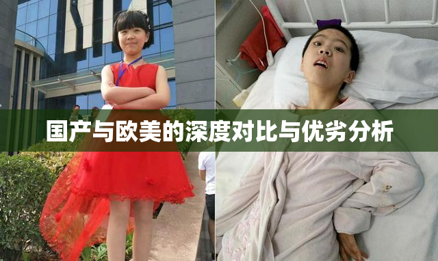 国产与欧美的深度对比与优劣分析