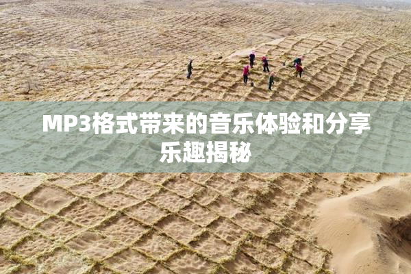 MP3格式带来的音乐体验和分享乐趣揭秘