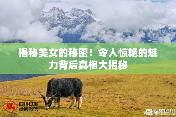 揭秘美女的秘密！令人惊艳的魅力背后真相大揭秘