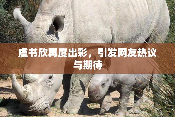 虞书欣再度出彩，引发网友热议与期待