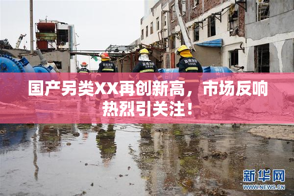 国产另类XX再创新高，市场反响热烈引关注！
