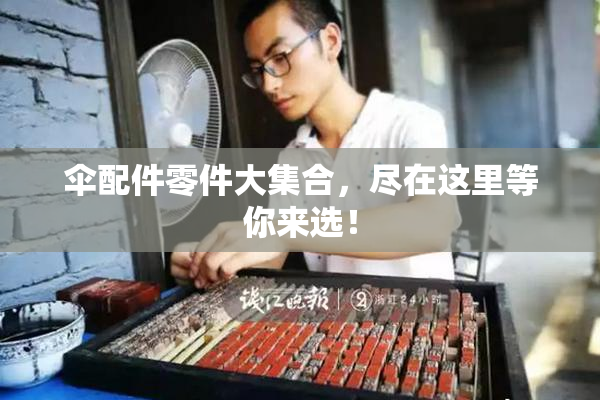 伞配件零件大集合，尽在这里等你来选！