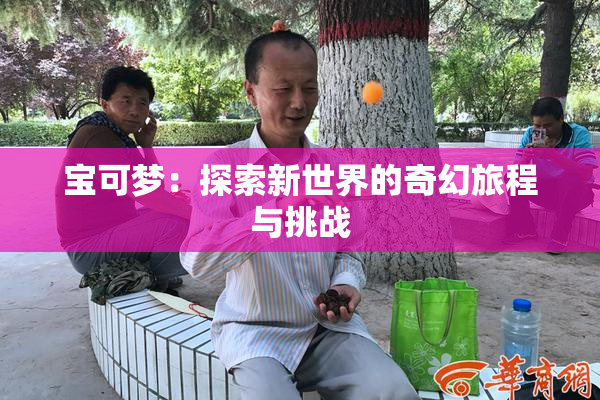 宝可梦：探索新世界的奇幻旅程与挑战