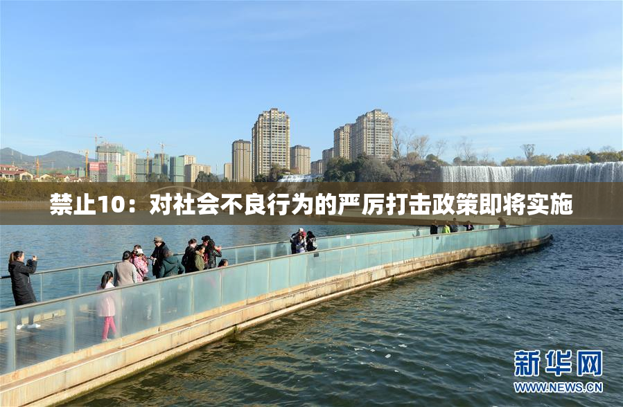 禁止10：对社会不良行为的严厉打击政策即将实施