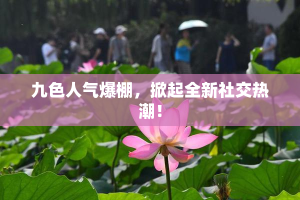 九色人气爆棚，掀起全新社交热潮！