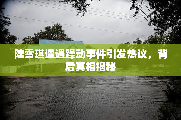 陆雪琪遭遇躁动事件引发热议，背后真相揭秘