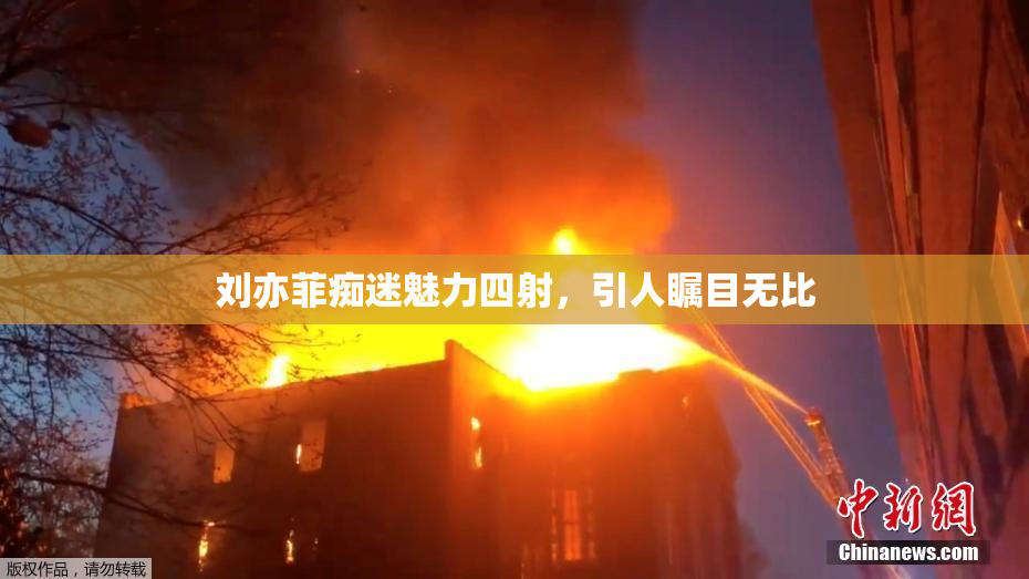 刘亦菲痴迷魅力四射，引人瞩目无比