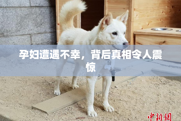 孕妇遭遇不幸，背后真相令人震惊