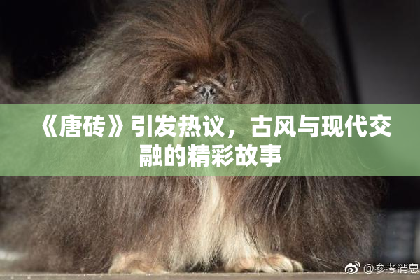 《唐砖》引发热议，古风与现代交融的精彩故事