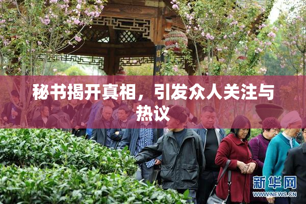 秘书揭开真相，引发众人关注与热议
