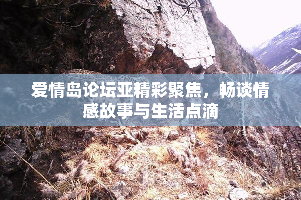 爱情岛论坛亚精彩聚焦，畅谈情感故事与生活点滴