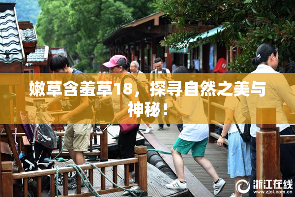 嫩草含羞草18，探寻自然之美与神秘！
