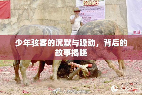 少年骇客的沉默与躁动，背后的故事揭晓