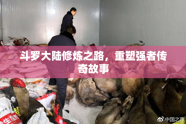 斗罗大陆修炼之路，重塑强者传奇故事