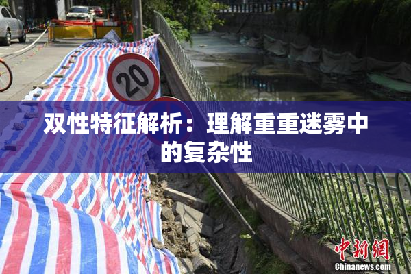 双性特征解析：理解重重迷雾中的复杂性