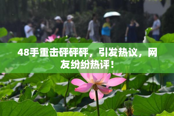 48手重击砰砰砰，引发热议，网友纷纷热评！