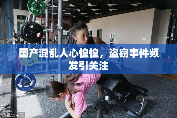 国产混乱人心惶惶，盗窃事件频发引关注