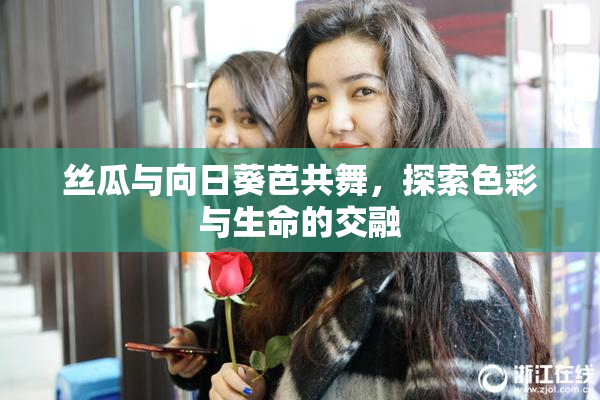 丝瓜与向日葵芭共舞，探索色彩与生命的交融
