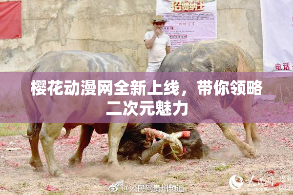 樱花动漫网全新上线，带你领略二次元魅力