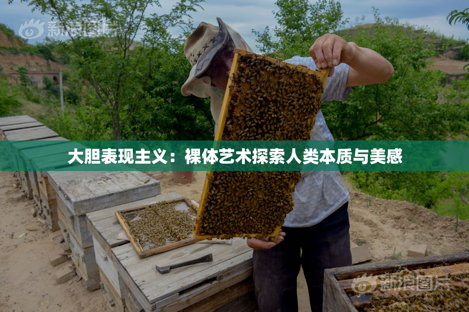 大胆表现主义：裸体艺术探索人类本质与美感