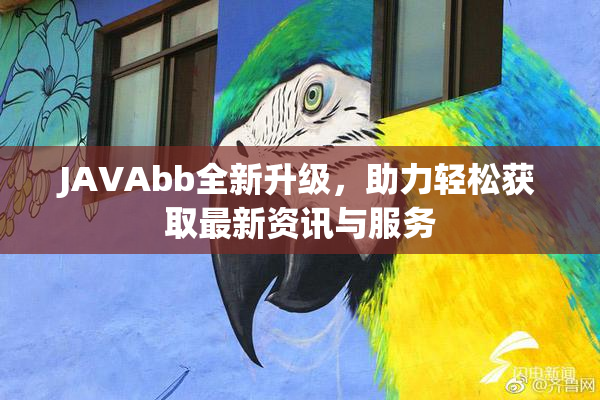 JAVAbb全新升级，助力轻松获取最新资讯与服务