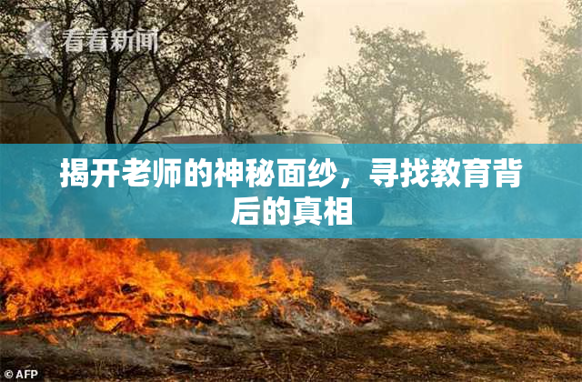 揭开老师的神秘面纱，寻找教育背后的真相