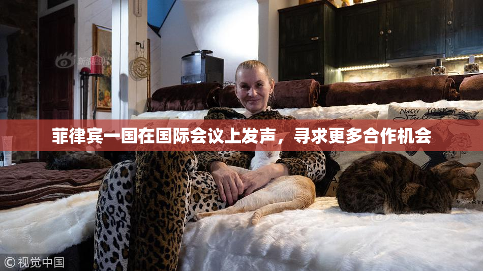 菲律宾一国在国际会议上发声，寻求更多合作机会